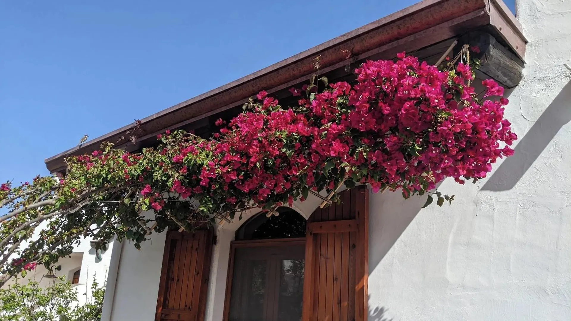 Charming House With Sea View In Valledoria بيت للعطل فاليدوريا